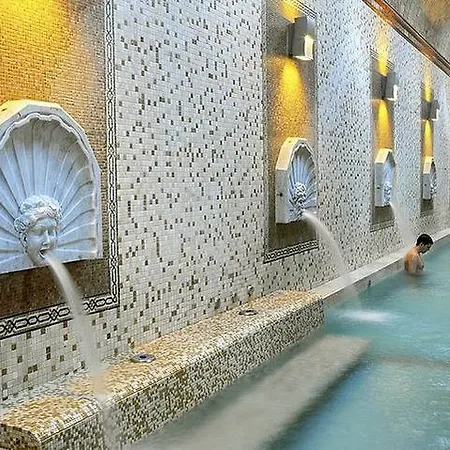 Termas Balneario Termas Pallares Hotel Alhama De Aragon