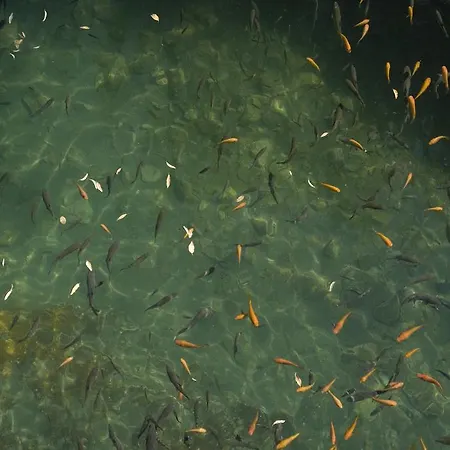 Szálloda Termas Balneario Termas Pallares 4*