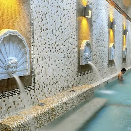 Termas Balneario Termas Pallares Szálloda Alhama de Aragón