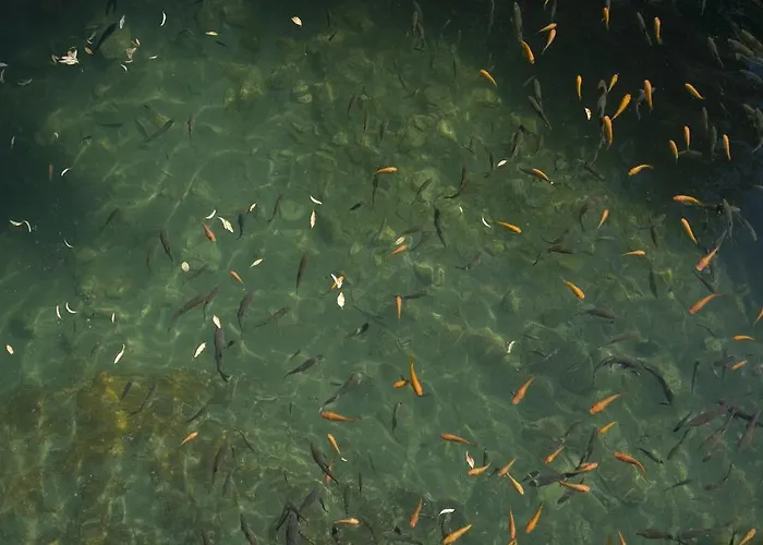 Hotell Termas Balneario Termas Pallares 4*