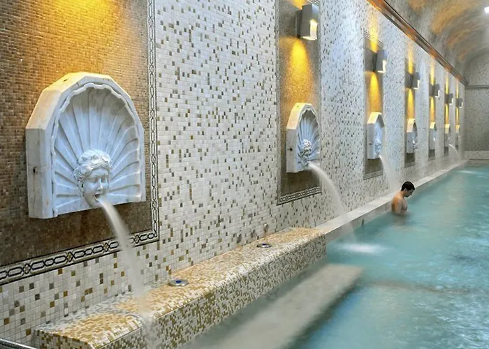 Termas Balneario Termas Pallares Hotell Alhama de Aragón